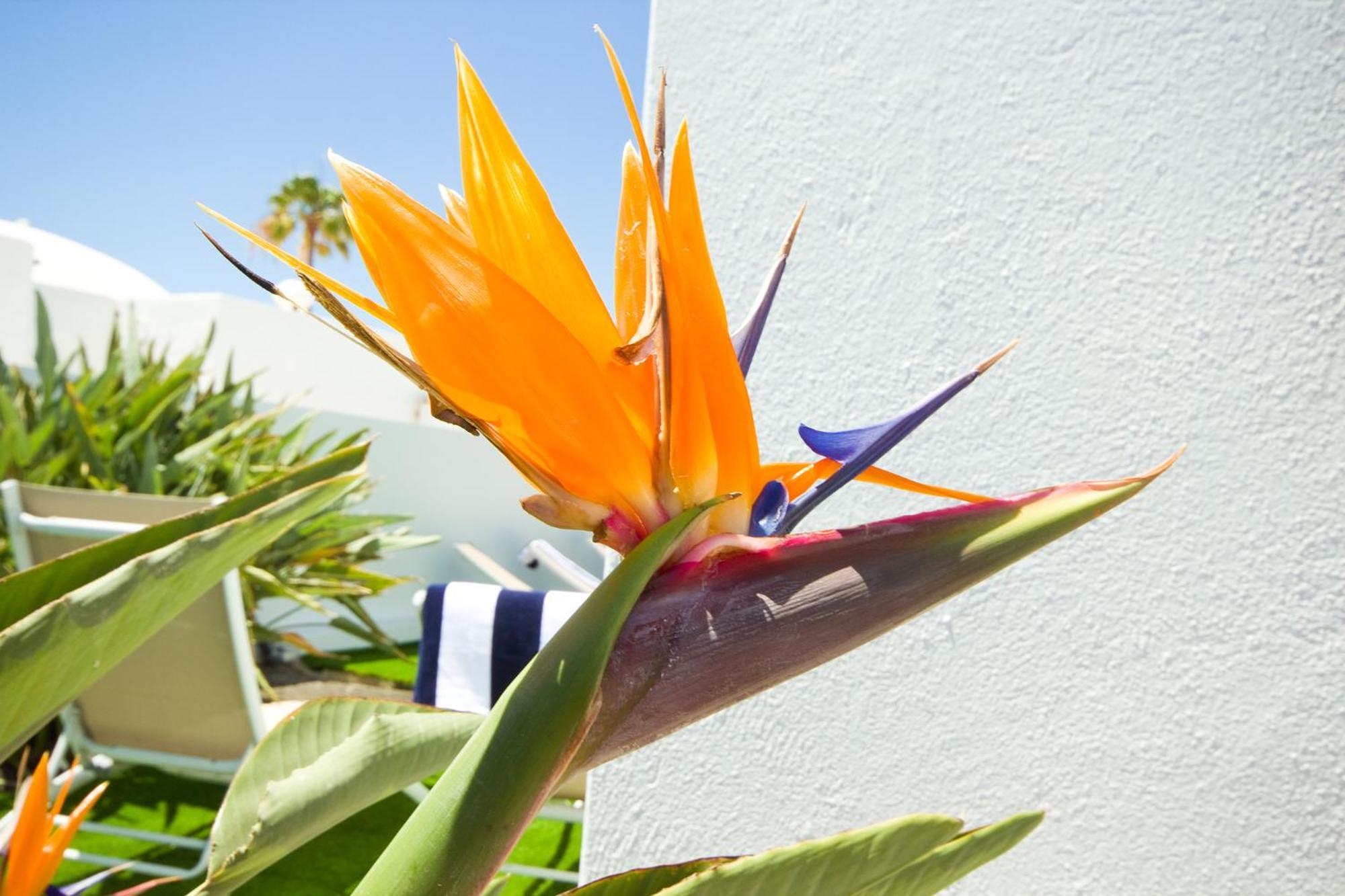 Villa El Golfo - By Az Rentals Puerto del Carmen  Zewnętrze zdjęcie